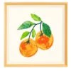 'Valencia Oranges' Framed Art By Nathan Turner
