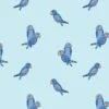 'Small Alexandrine Parakeet' Wallpaper By Tea Collection - Sky -Wallpaper Store Alexandrine Parakeet Small Sky design a3ec69b1 1b8f 46ec 8fa9 61b496ac93f8