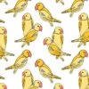 'Alexandrine Parakeet' Wallpaper By Tea Collection - Yellow -Wallpaper Store Alexandrine Parakeet Yellow design 03204259 2fad 4d8c 9658 b7ee2cf32f28