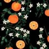 'Arance Dolci' Wallpaper By Carly Beck - Black -Wallpaper Store Arance Dolci Black design a6af5349 9a14 4cfe ac54 fe6743ec1e9a