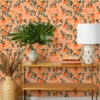 'Arance Dolci' Wallpaper By Carly Beck - Orange -Wallpaper Store Arance Dolci by C.A.B. Orange RS