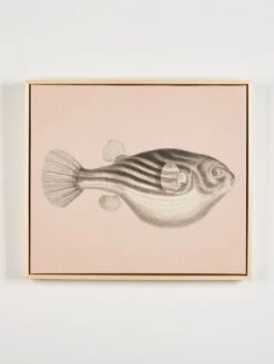 'Blowfish' On Natural Canvas Framed Art