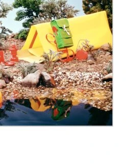 'Barbie™ High Sierra Adventure On Acrylic 7 'Barbie™ High Sierra Adventure On Acrylic -Wallpaper Store Barbie High Sierra Adventure on Acrylic by artshoppe detail