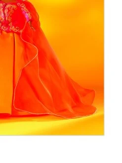 'Barbie™ Tangerine Ball Gown On Acrylic -Wallpaper Store Barbie Tangerine Ball Gown on Acrylic by artshoppe detail 97ab837f 8362 4563 a7b1 f9f0829d516c