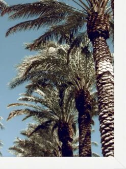 'Bel Air' Framed Art By Nathan Turner -Wallpaper Store Bel Air by Nathan Turner detail