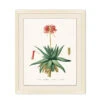 'Blooming Cacti 1' By Nathan Turner Framed Art -Wallpaper Store Blooming Cacti 1 Design