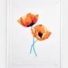 'California Poppies' Framed Art By Nathan Turner -Wallpaper Store California Poppies by Nathan Turner