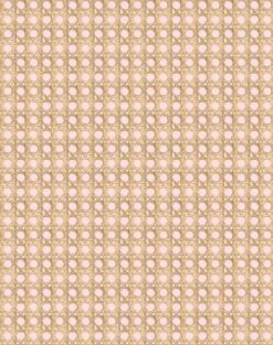 'Faux Caning' Wallpaper By Wallshoppe - Ballet Slipper -Wallpaper Store Caning Ballet Slipper design 7008577f 1722 458b 8fc1 c667afece65c