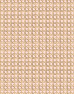 'Faux Caning' Wallpaper By Wallshoppe - Ballet Slipper