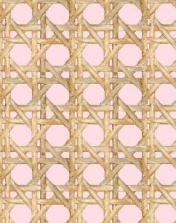 'Faux Caning' Wallpaper By Wallshoppe - Ballet Slipper -Wallpaper Store Caning Ballet Slipper detail 95aa4706 811c 4188 a2dc dfa009a2a65f