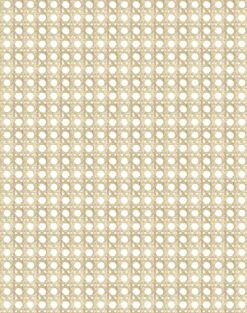 'Faux Caning' Wallpaper By Wallshoppe - Sesame