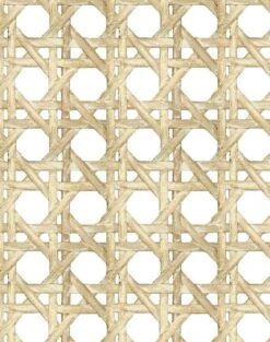 'Faux Caning' Wallpaper By Wallshoppe - Sesame -Wallpaper Store Caning Sesame detail 5069d5a2 f129 4b27 9d9b 16c8470c2926