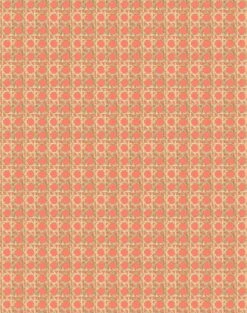 'Faux Caning' Wallpaper By Wallshoppe - Watermelon