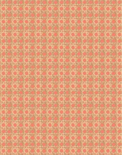 'Faux Caning' Wallpaper By Wallshoppe - Watermelon -Wallpaper Store Caning Watermelon design 89e7cc22 5814 44a1 a34d aad99eff9182