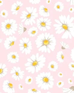 'Daisy Bloom' Wallpaper By Wallshoppe - Ballet Slipper