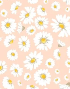 'Daisy Bloom' Wallpaper By Wallshoppe - Peach
