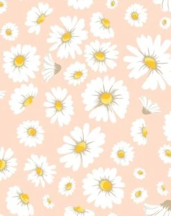 'Daisy Bloom' Wallpaper By Wallshoppe - Peach -Wallpaper Store DaisyBloom Peach design 4142c86b a6c2 443e 90f4 23e4e510ae7c