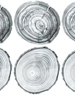 'Deux Bois' Wallpaper By Nathan Turner - Gray 9 'Deux Bois' Wallpaper By Nathan Turner - Gray -Wallpaper Store DeuxBois GRAY web 79061114 093a 4eb9 b706 2003cece9d88