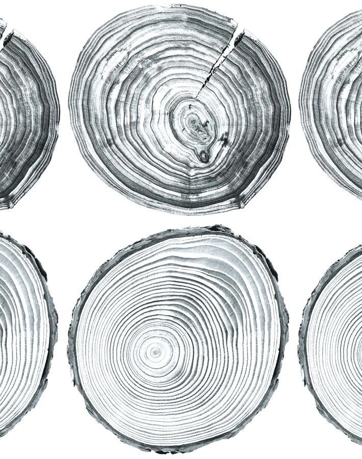 'Deux Bois' Wallpaper By Nathan Turner - Gray 6 'Deux Bois' Wallpaper By Nathan Turner - Gray - Image 4