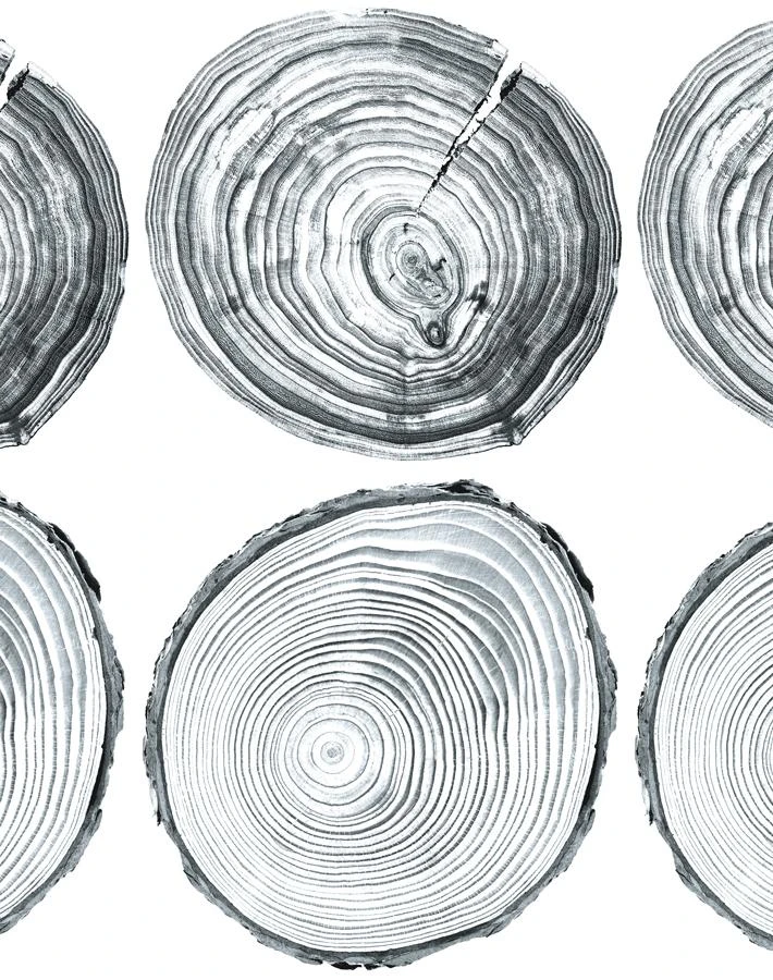 'Deux Bois' Wallpaper By Nathan Turner - Gray 3 'Deux Bois' Wallpaper By Nathan Turner - Gray