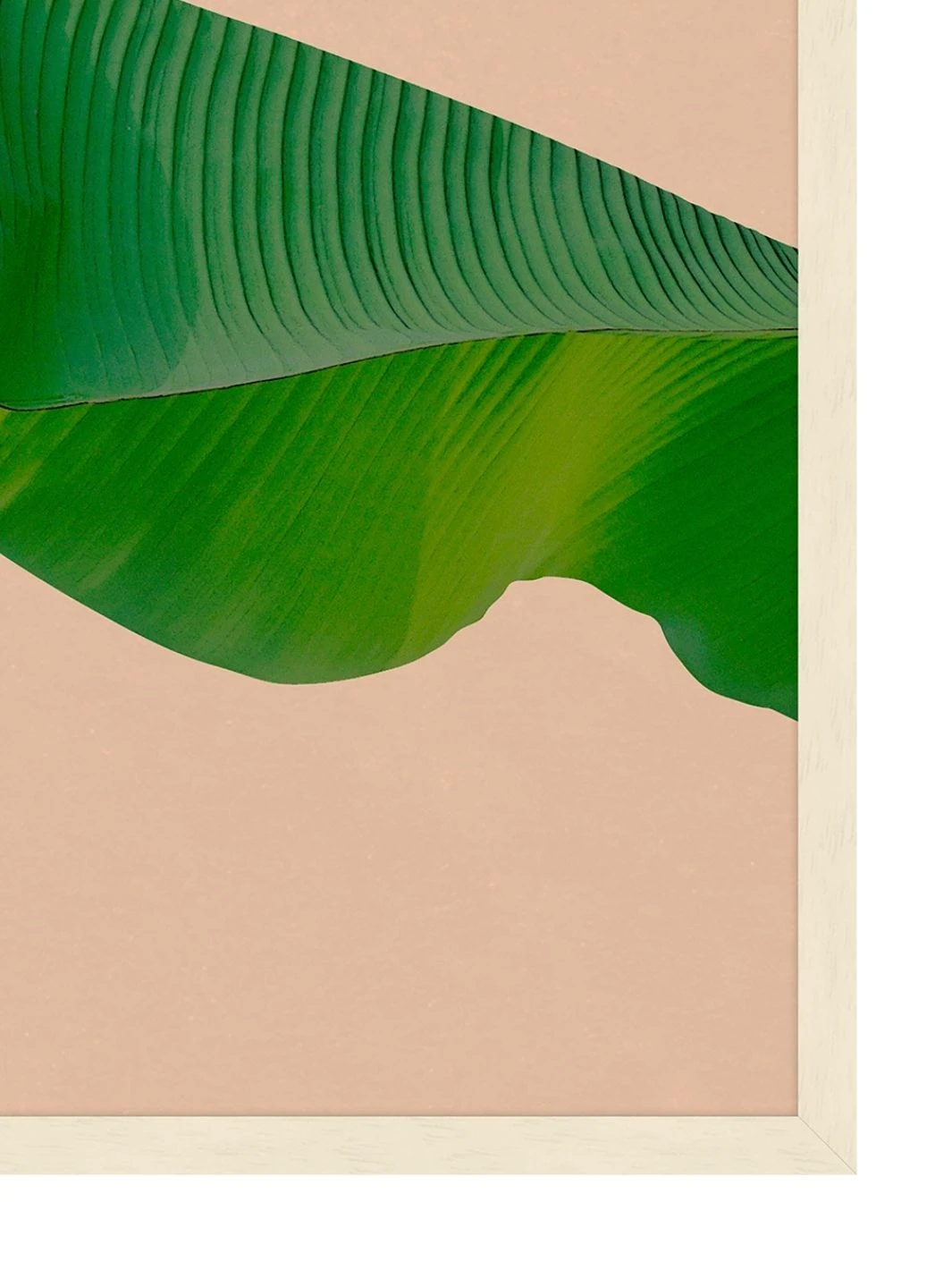 'Editorial Vegitation 1' By Nathan Turner Framed Art 4 'Editorial Vegitation 1' By Nathan Turner Framed Art - Image 2