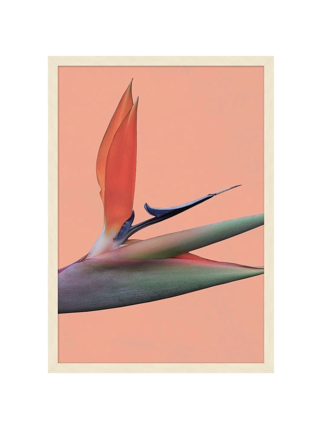 'Editorial Vegitation 2' By Nathan Turner Framed Art 3 'Editorial Vegitation 2' By Nathan Turner Framed Art