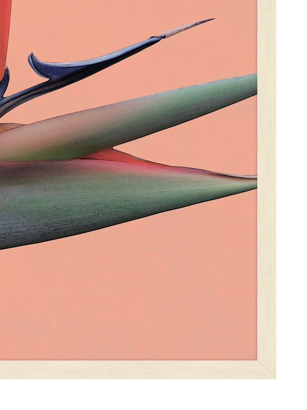 'Editorial Vegitation 2' By Nathan Turner Framed Art 4 'Editorial Vegitation 2' By Nathan Turner Framed Art - Image 2