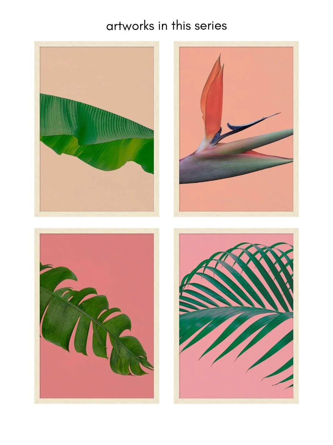 'Editorial Vegitation 4' By Nathan Turner Framed Art 5 'Editorial Vegitation 4' By Nathan Turner Framed Art - Image 3