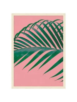 'Editorial Vegitation 4' By Nathan Turner Framed Art