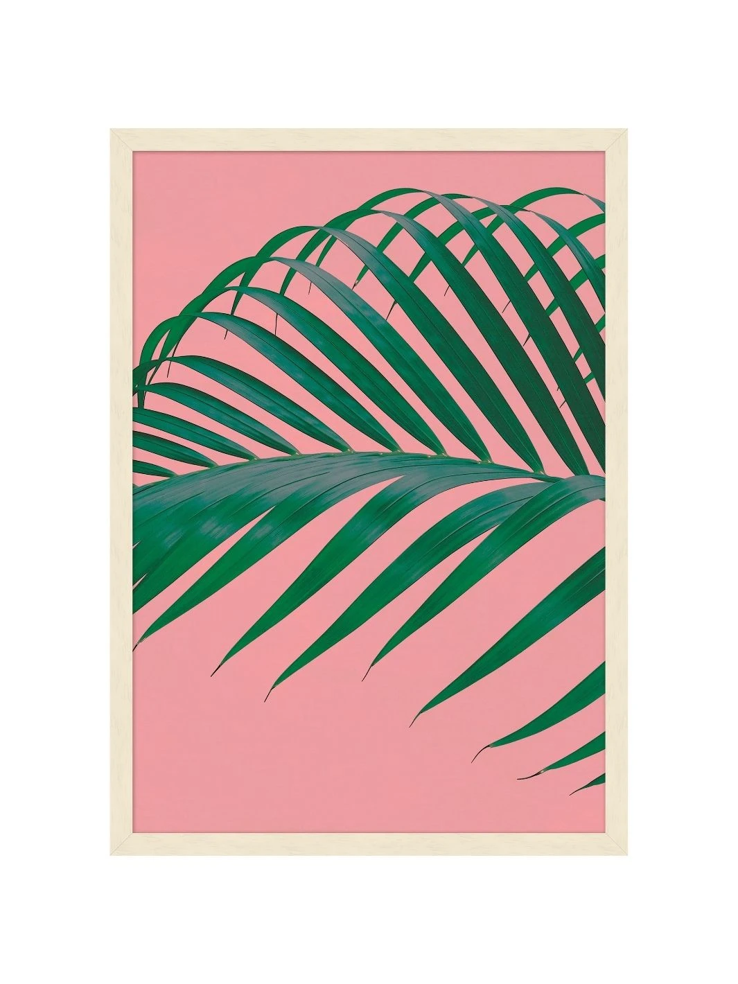 'Editorial Vegitation 4' By Nathan Turner Framed Art 3 'Editorial Vegitation 4' By Nathan Turner Framed Art