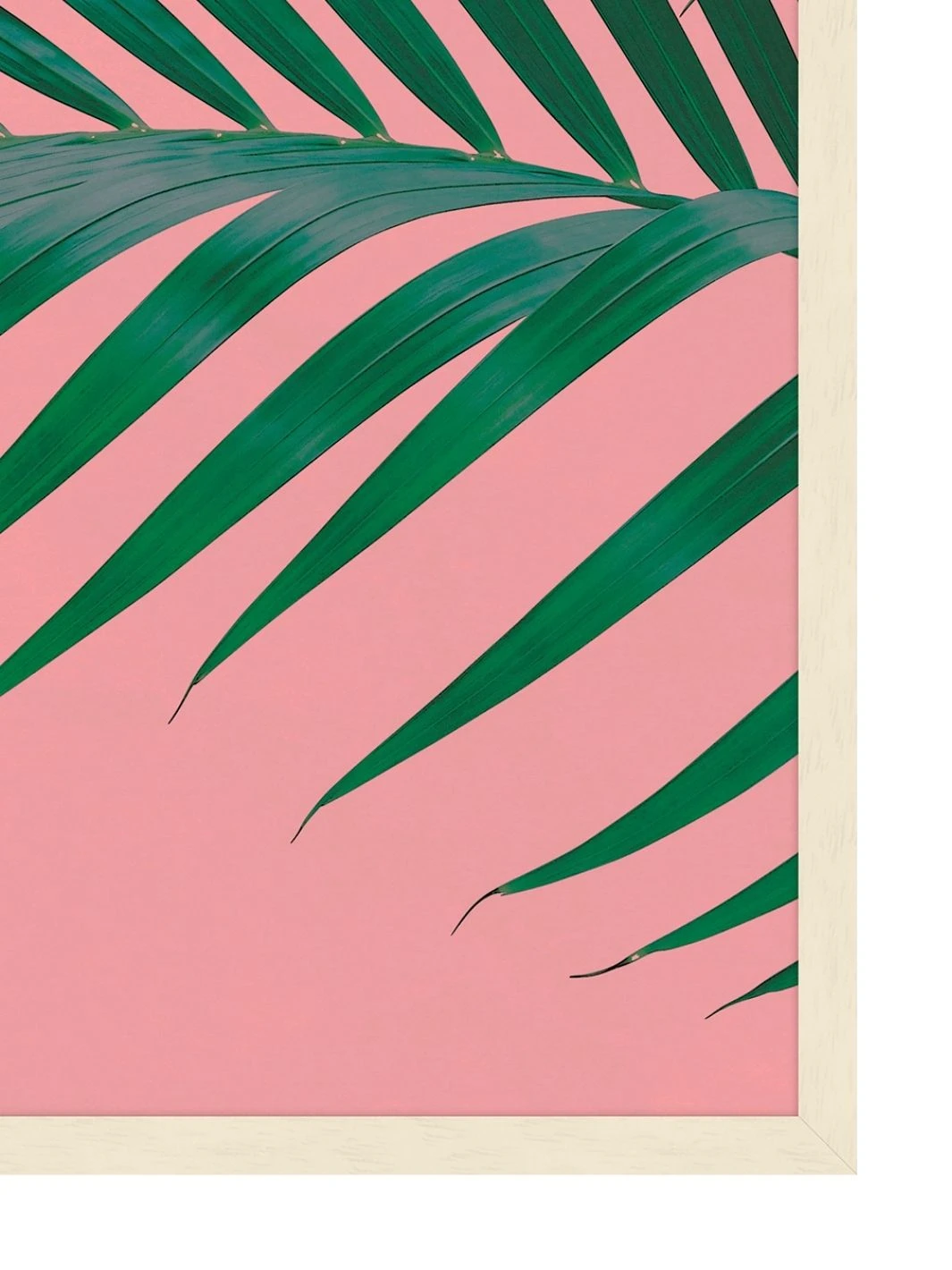 'Editorial Vegitation 4' By Nathan Turner Framed Art 4 'Editorial Vegitation 4' By Nathan Turner Framed Art - Image 2