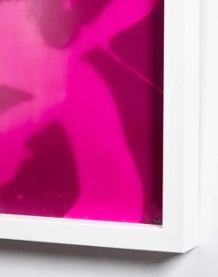 'Magenta 'El Quijote' Framed Art By Chris Benz -Wallpaper Store El Quijote Magenta by Nathan Turner Detail