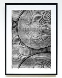 'Onyx 'Faux Bois Glam' Framed Art By Nathan Turner