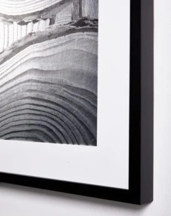 'Onyx 'Faux Bois Glam' Framed Art By Nathan Turner -Wallpaper Store Faux Bois Onyx Glam Detail