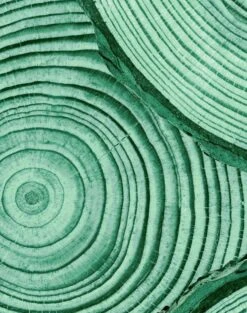 'Faux Bois' Wallpaper By Nathan Turner - Hunter Green 8 'Faux Bois' Wallpaper By Nathan Turner - Hunter Green -Wallpaper Store FauxBois GREEN detail a7f33807 1877 4d4f b3f9 c9e5ab2a86bb