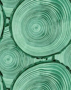 'Faux Bois' Wallpaper By Nathan Turner - Hunter Green