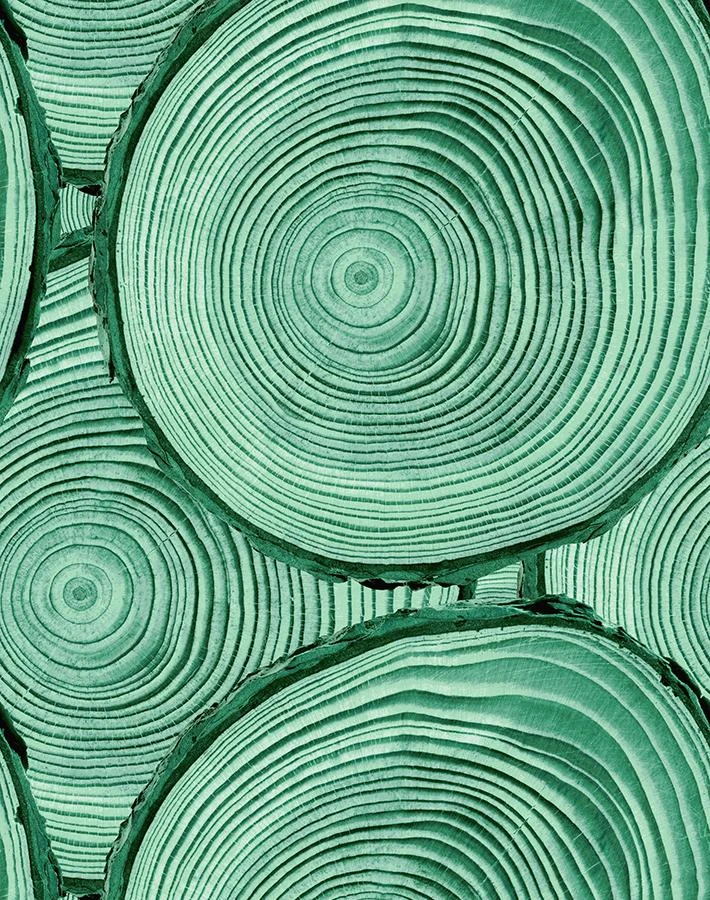 'Faux Bois' Wallpaper By Nathan Turner - Hunter Green 3 'Faux Bois' Wallpaper By Nathan Turner - Hunter Green