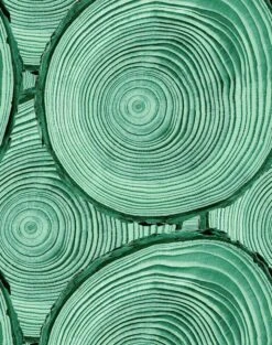 'Faux Bois' Wallpaper By Nathan Turner - Hunter Green 9 'Faux Bois' Wallpaper By Nathan Turner - Hunter Green -Wallpaper Store FauxBois GREEN web b2b21f18 f1f6 4ad7 a960 4ae554508fd6