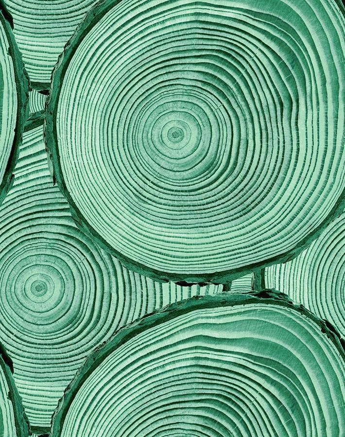 'Faux Bois' Wallpaper By Nathan Turner - Hunter Green 6 'Faux Bois' Wallpaper By Nathan Turner - Hunter Green - Image 4