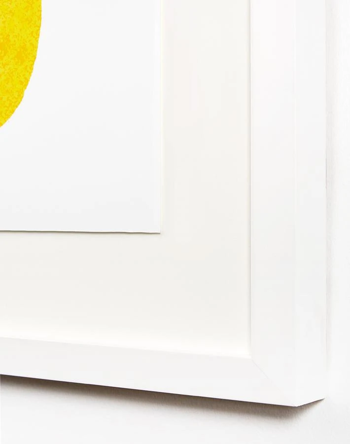 'Fresh Lemon' Framed Art By Nathan Turner 5 'Fresh Lemon' Framed Art By Nathan Turner - Image 3