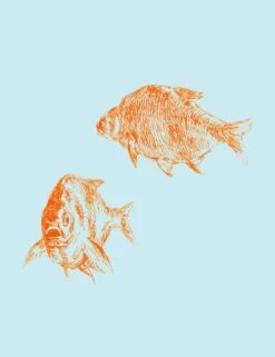 'Goldfish' Wallpaper By Nathan Turner - Glacier -Wallpaper Store Goldfish product GlacierBlue forWEB detail 5c8be595 d9ef 4727 8ef8 4935cccac99b