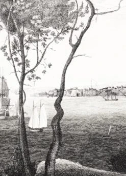 'Hudson Bay' Etching Removable Mural -Wallpaper Store HudsonBayEtching Detail