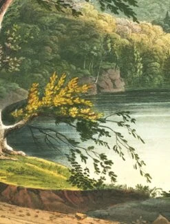 'Jessup Landing' Removable Mural 8 'Jessup Landing' Removable Mural -Wallpaper Store JessupLanding Detail min