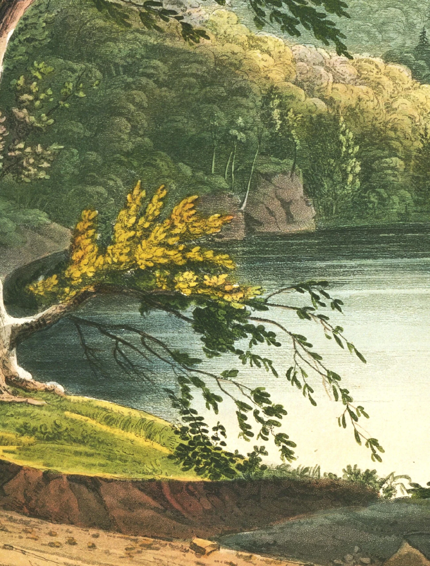 'Jessup Landing' Removable Mural 5 'Jessup Landing' Removable Mural - Image 3