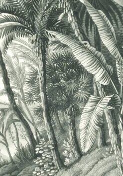 'Jungle' Removable Mural -Wallpaper Store Jungle Detail