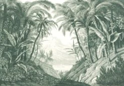 'Jungle' Removable Mural