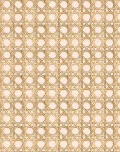 'Faux Large Caning' Wallpaper By Wallshoppe - Peach 8 'Faux Large Caning' Wallpaper By Wallshoppe - Peach -Wallpaper Store LargeCaning Peach design e0de9867 6e24 4bfa b18d e6ceedcdcd26
