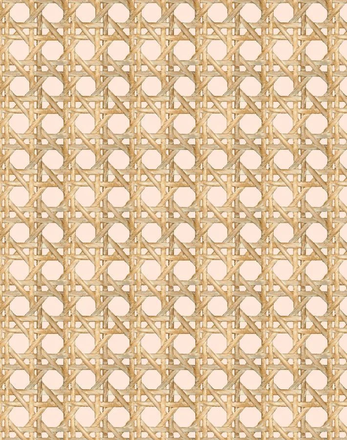'Faux Large Caning' Wallpaper By Wallshoppe - Peach 5 'Faux Large Caning' Wallpaper By Wallshoppe - Peach - Image 3