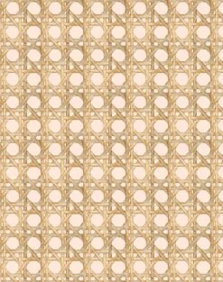 'Faux Large Caning' Wallpaper By Wallshoppe - Peach