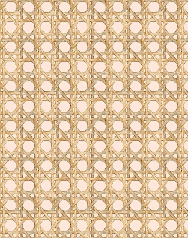 'Faux Large Caning' Wallpaper By Wallshoppe - Peach 3 'Faux Large Caning' Wallpaper By Wallshoppe - Peach
